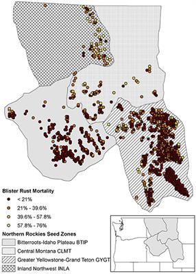 Using Landscape Genetics Simulations for Planting Blister Rust Resistant Whitebark Pine in the US Northern Rocky Mountains